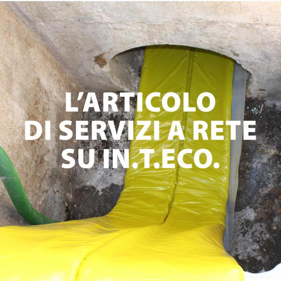 Articolo su In.Te.Co. su Servizi a Rete